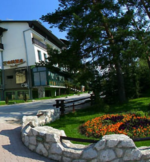 181_1b2ced107c74551d674fa50ed0f1dfe8