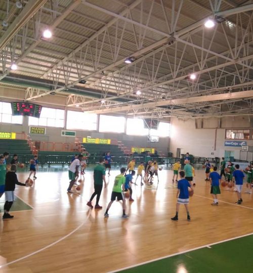 common project basketball